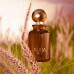 AURA DEO COLONIA 100ML AURA DEO COLONIA 100ML